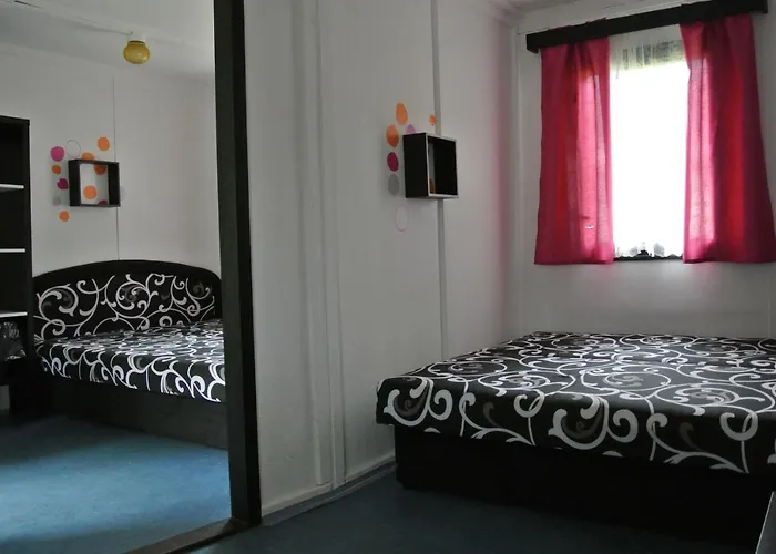 Juniorcamp Nova Zivohost * Křečovice