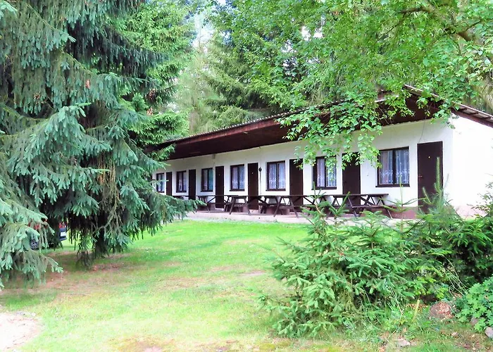 Juniorcamp Nova Zivohost